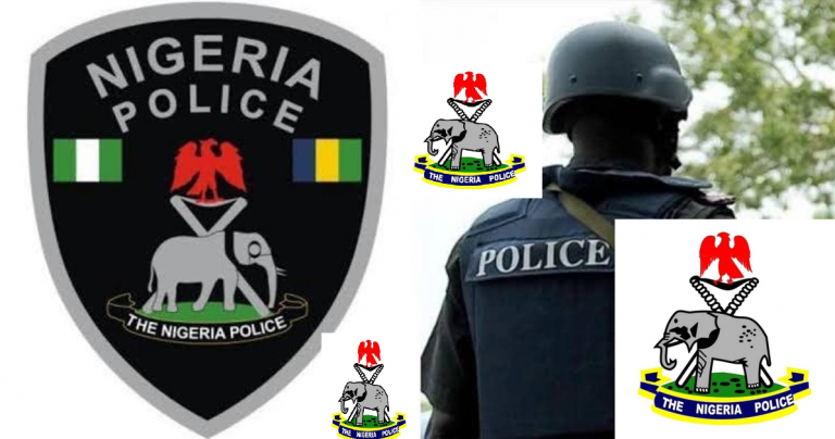 Nigeria police 768x404 1