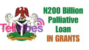 Government loans and grants