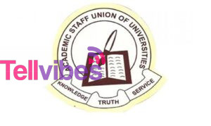 Asuu pics