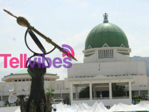 The National Assembly talks about South West states